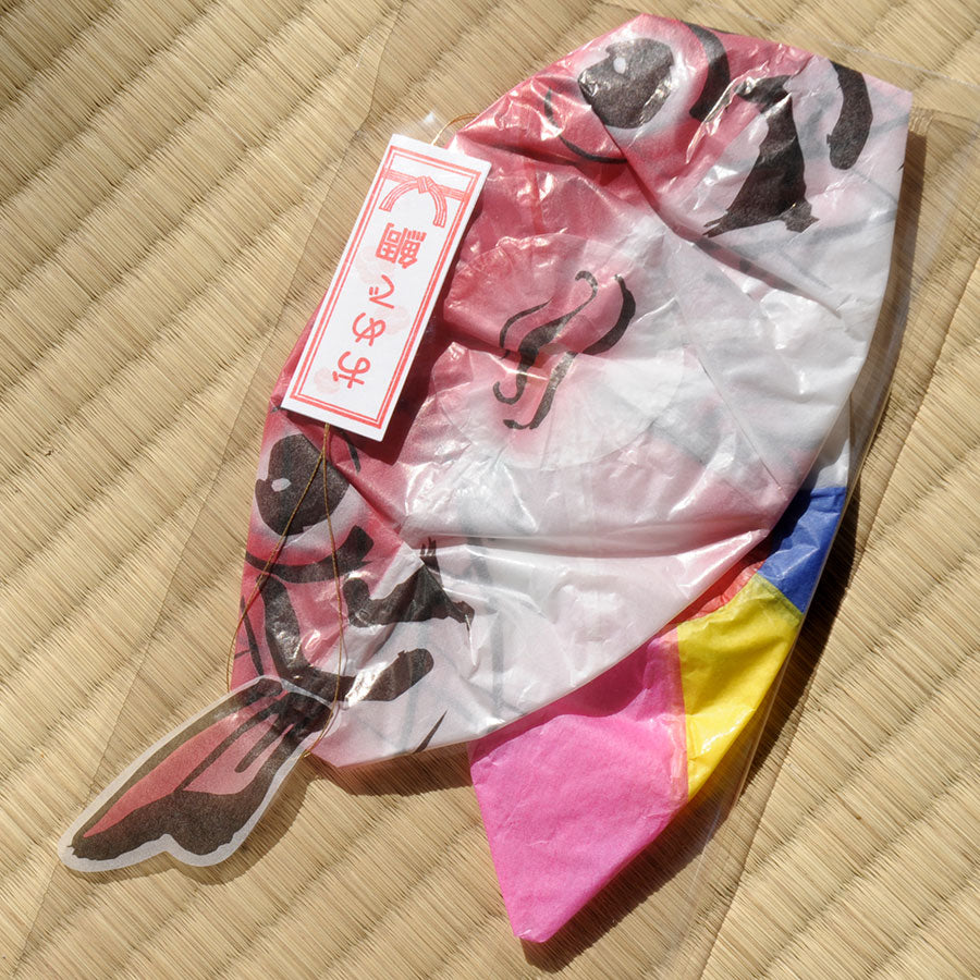 Kamifusen Omedetai. ISONO